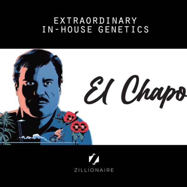 El Chapo