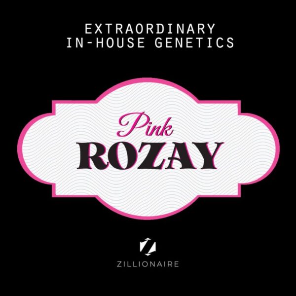 Pink Rozay