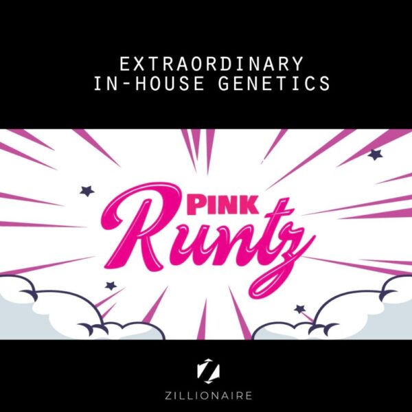 Pink Runty