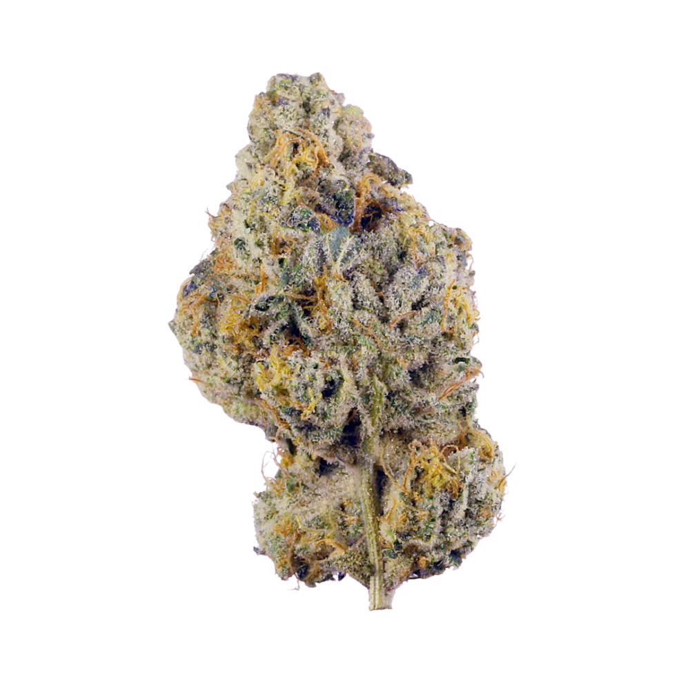 POPCORN KUSH 1